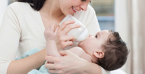 遼寧博華職業(yè)技術(shù)學(xué)校 皇姑區(qū)母嬰護(hù)理培訓(xùn)首選，品質(zhì)與售后無(wú)憂的堅(jiān)實(shí)保障